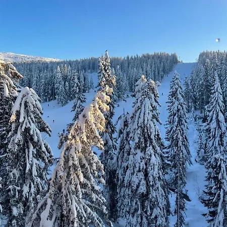 Woodside & By Slopeview * Kopaonik