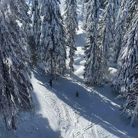 Lägenhet Woodside & By Slopeview *