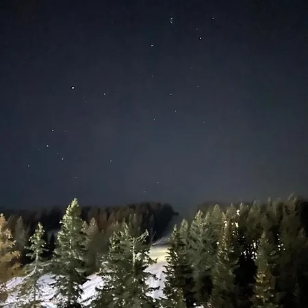 Lägenhet Woodside & By Slopeview Kopaonik