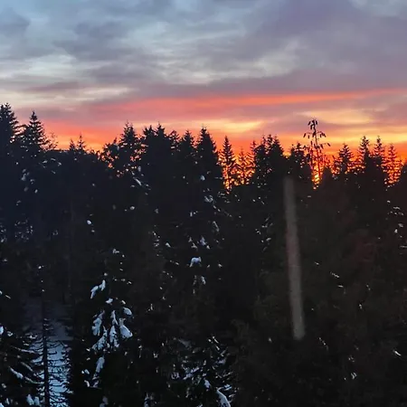 Woodside & By Slopeview Apartment Kopaonik