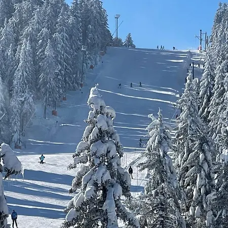 Woodside & By Slopeview Kopaonik