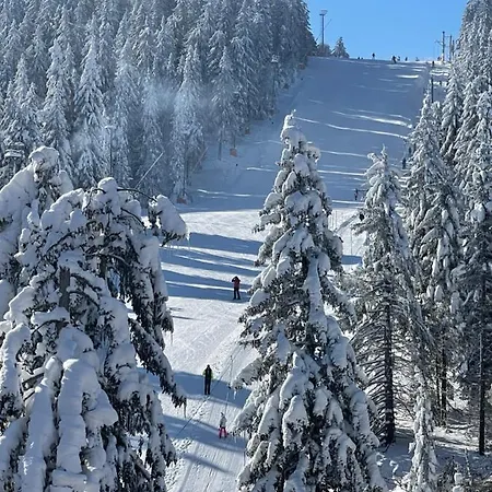 Woodside & By Slopeview * Kopaonik