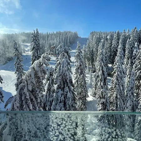 Apartment Woodside & By Slopeview Kopaonik