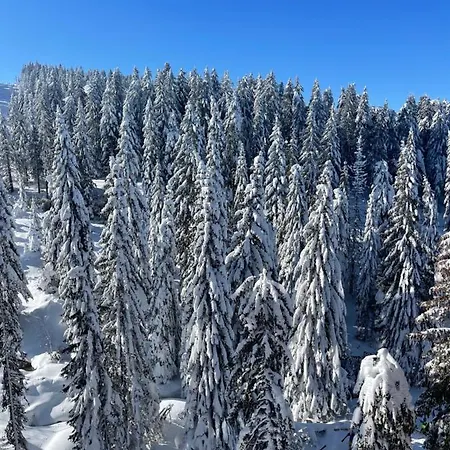 Woodside & By Slopeview Apartment Kopaonik