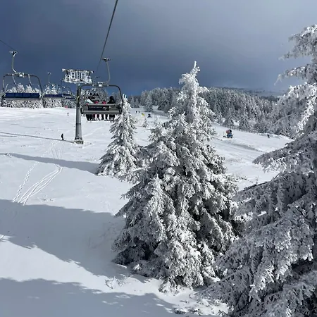 Lägenhet Woodside & By Slopeview *