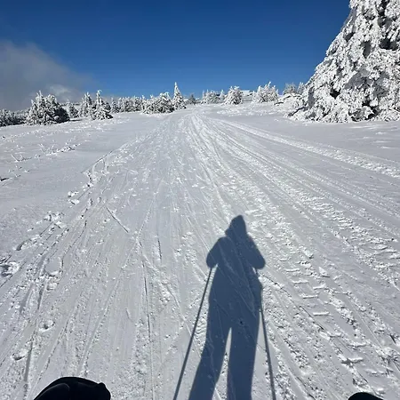 Lägenhet Woodside & By Slopeview Kopaonik