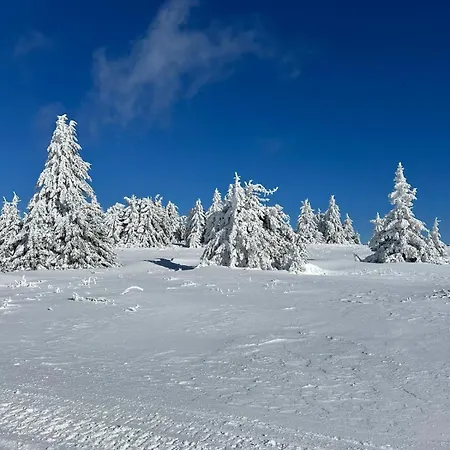 Woodside & By Slopeview Kopaonik