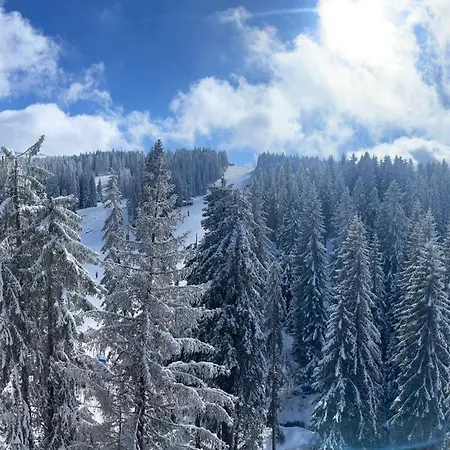 Woodside & By Slopeview Lägenhet Kopaonik
