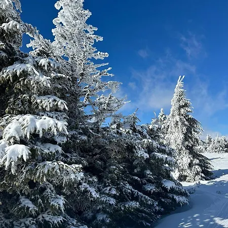 Lägenhet Woodside & By Slopeview