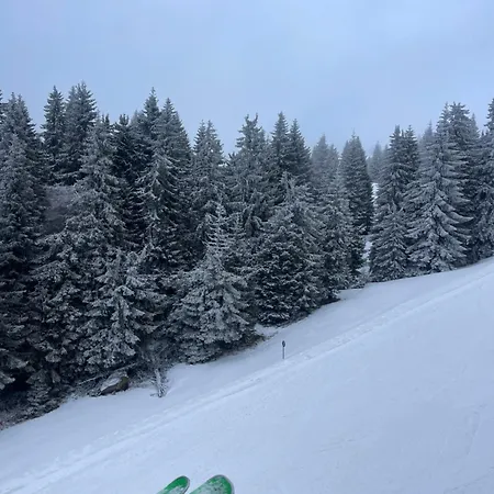 Woodside & By Slopeview