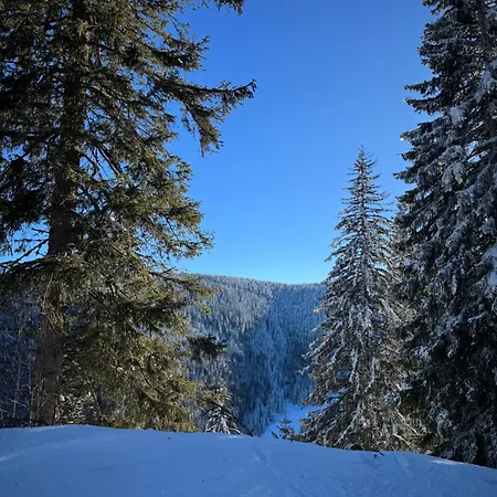 Woodside & By Slopeview * Kopaonik