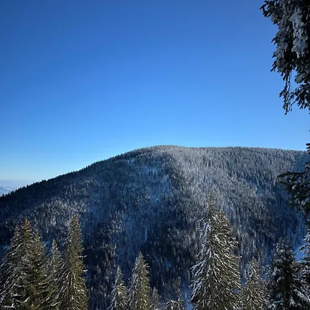 Lägenhet Woodside & By Slopeview