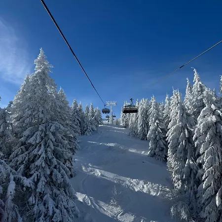 Woodside & By Slopeview Lägenhet Kopaonik