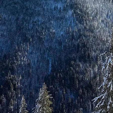 Lägenhet Woodside & By Slopeview *